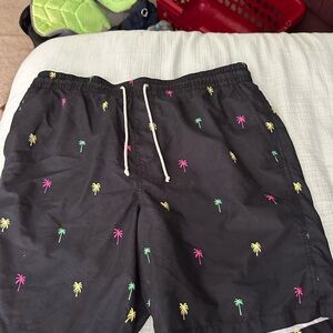 men’s swim trunks